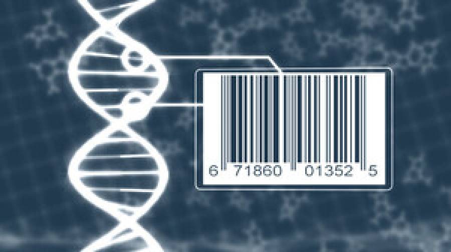 প্রতিটি উদ্ভিদ ও প্রাণীর জন্য তৈরি হচ্ছে ডিএনএ বারকোড!