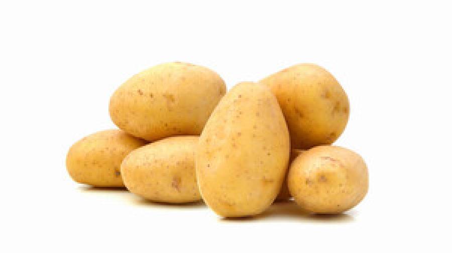 ৩ হাজার কোটি টাকা ক্ষতির মুখে আলুচাষি, গণভোট নিয়ে প্রশ্ন বিএনপির