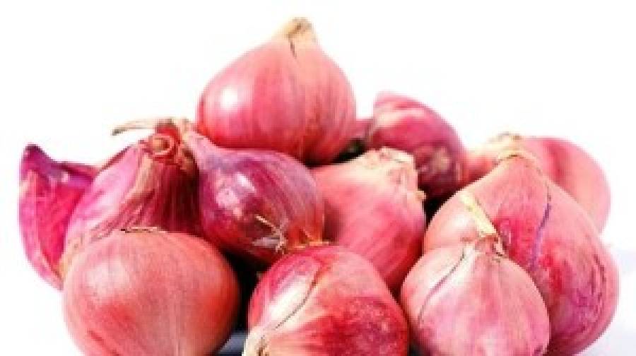 একদিনেই ২০ টাকা কমলো পেঁয়াজের দাম!