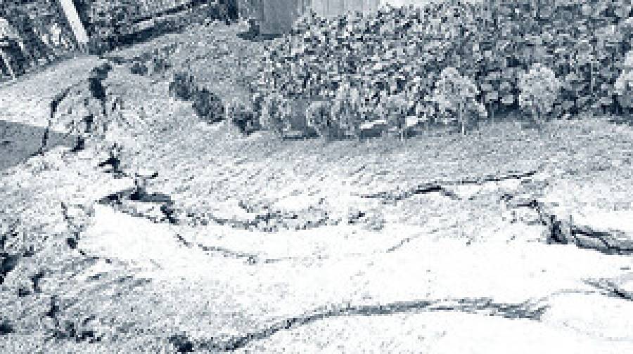 নরসিংদীর মাটি কেন ফেটেছে? যা বলছে ভূতাত্ত্বিক জরিপ অধিদপ্তর