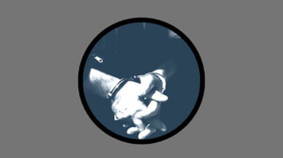 ইয়েমেনে ৫৯ জাতিসংঘ কর্মীকে আটকে গভীর উদ্বেগ