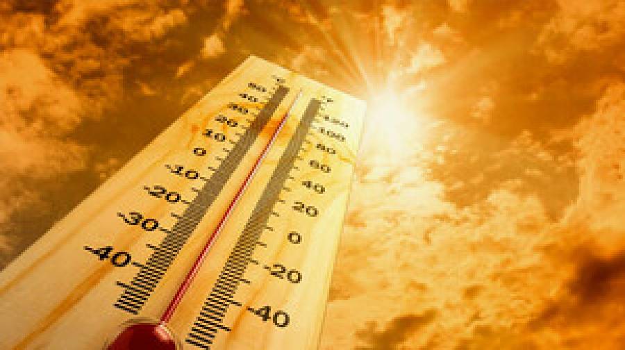 ৭৪ বছরের মধ্যে সবচেয়ে উষ্ণ ডিসেম্বর দেখল পোল্যান্ড