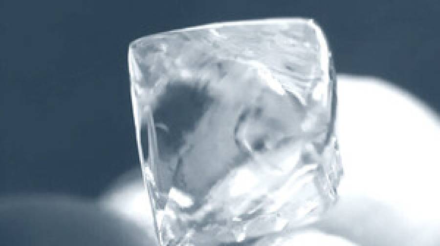 বোনের বিয়ের চিন্তায় মগ্ন দুই বন্ধুর হাতে উঠে এলো ৫৫ হাজার ডলারের হীরা