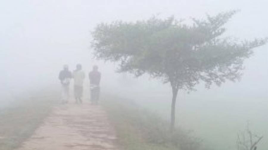 শৈত্যপ্রবাহে কাঁপছে দেশ, ঘন কুয়াশার সতর্কতা আবহাওয়া অফিসের