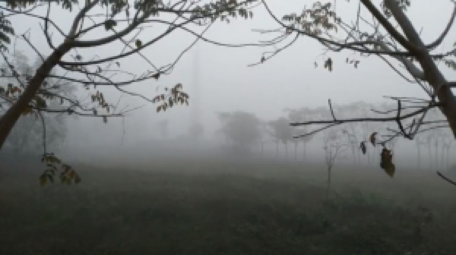 হাড়কাঁপানো শীত ও ঘন কুয়াশায় নাকাল দেশ, আরও দুটি শৈত্যপ্রবাহের আভাস