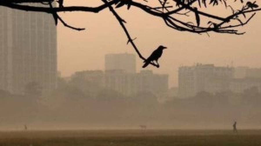 রাজধানীতে বাড়তে পারে শীত, আরও যা জানাল আবহাওয়া অফিস