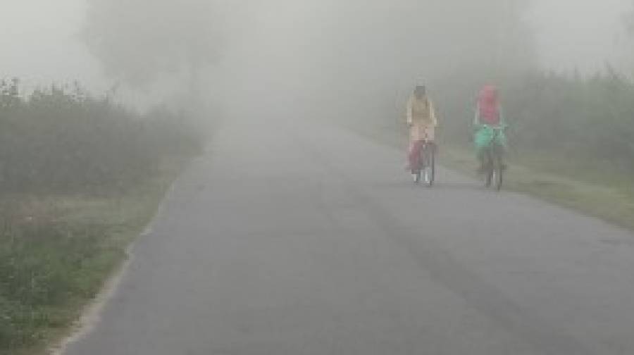 ১৯ জেলায় বইছে শৈত্যপ্রবাহ, বিপর্যস্ত জনজীবন