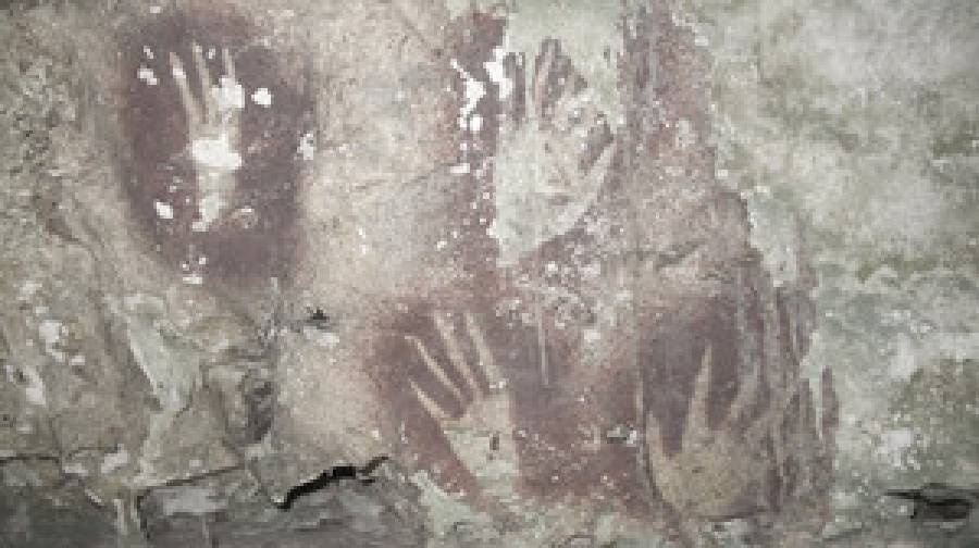 প্রত্নতাত্ত্বিকদের দাবি: ইন্দোনেশিয়ায় পৃথিবীর সবচেয়ে প্রাচীন গুহাচিত্রের সন্ধান