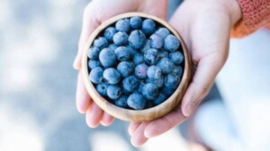 হৃদরোগ ও ক্যানসারের ঝুঁকি কমাতে অ্যান্টিঅক্সিডেন্ট কেন জরুরি