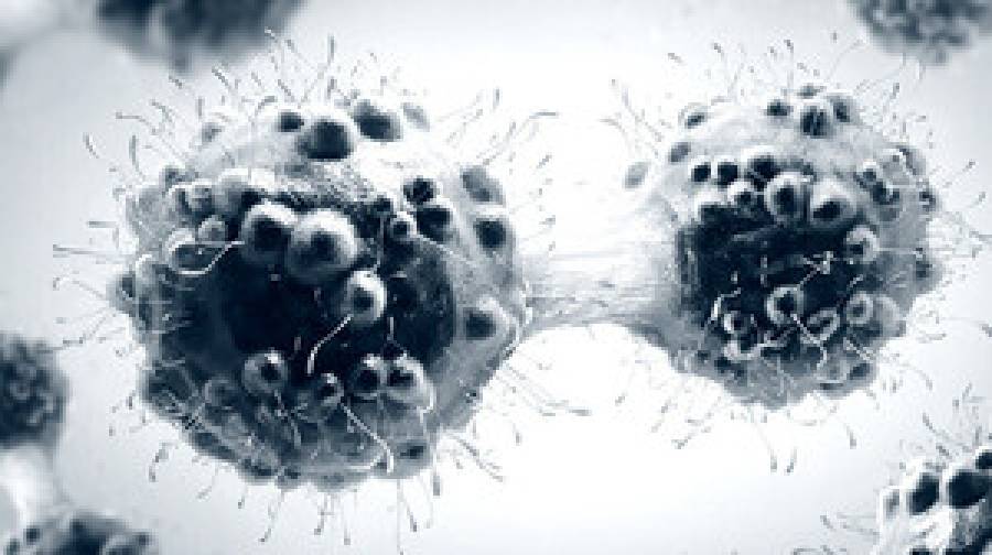 নতুন গবেষণায় মিলল ক্যান্সার নির্মূলের আশা