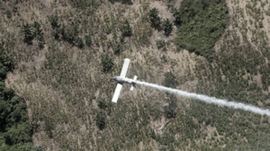 কলম্বিয়ায় উড়োজাহাজ বিধ্বস্ত, আইনপ্রণেতাসহ ১৫ জন নিহত
