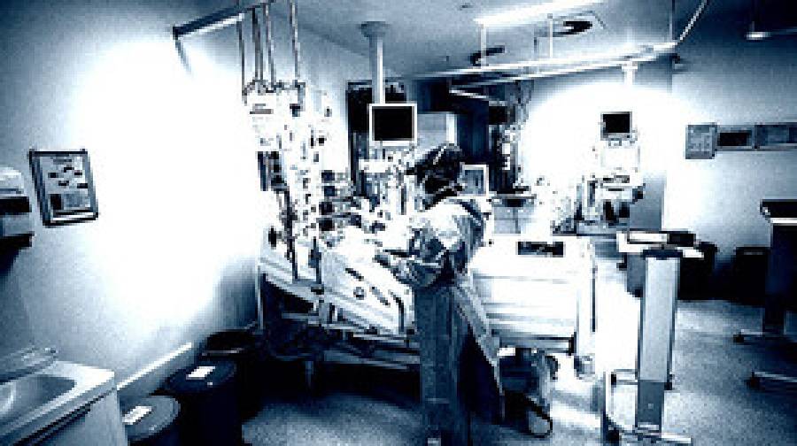 জিন এডিটেড শূকরের লিভার ব্যবহারে বাঁচল মানুষের প্রাণ