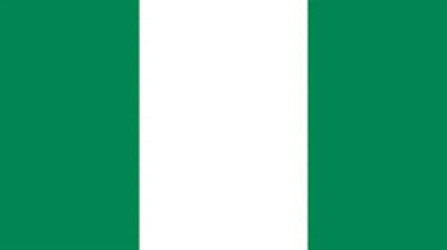 নাইজেরিয়ায় সেনা অভিযানে কুখ্যাত কমান্ডারসহ নিহত ৩০