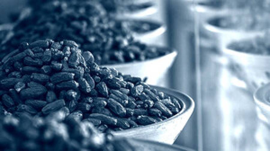 ফ্রান্সে ইসরায়েলি খেজুর বয়কটের ডাক