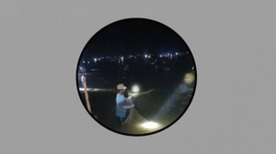 টর্চলাইট জ্বালিয়ে জলমহালে হানা, এক রাতেই লুট অর্ধকোটি টাকার মাছ