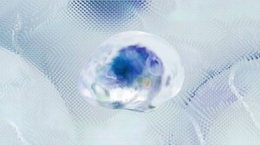 বয়স বাড়লেই স্মৃতিশক্তি কমে না, জানুন আসল কারণ