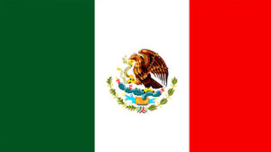 অভিযানে উত্তাল মেক্সিকো, নাগরিকদের নিয়ে কানাডার উদ্বেগ