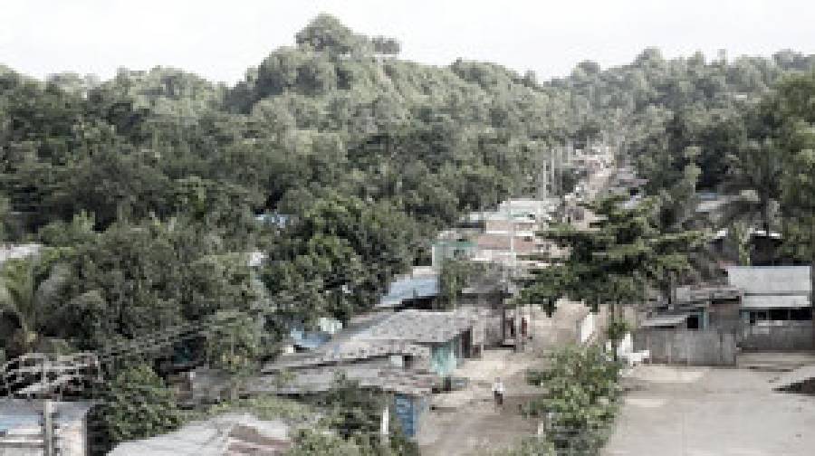 জঙ্গল সলিমপুরে চলছে যৌথ বাহিনীর অভিযান