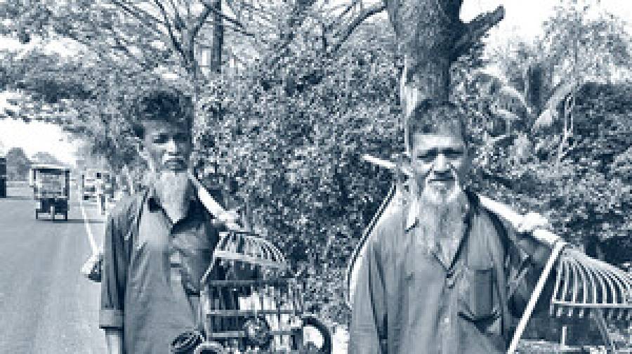 কড়ি বিক্রির আড়ালে গয়না খোঁজাই যাদের মূল পেশা