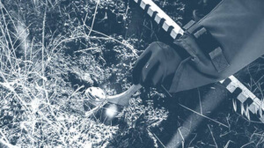 দুই দশক পর ইরানে মার্কিন স্থলমাইনের ব্যবহার!