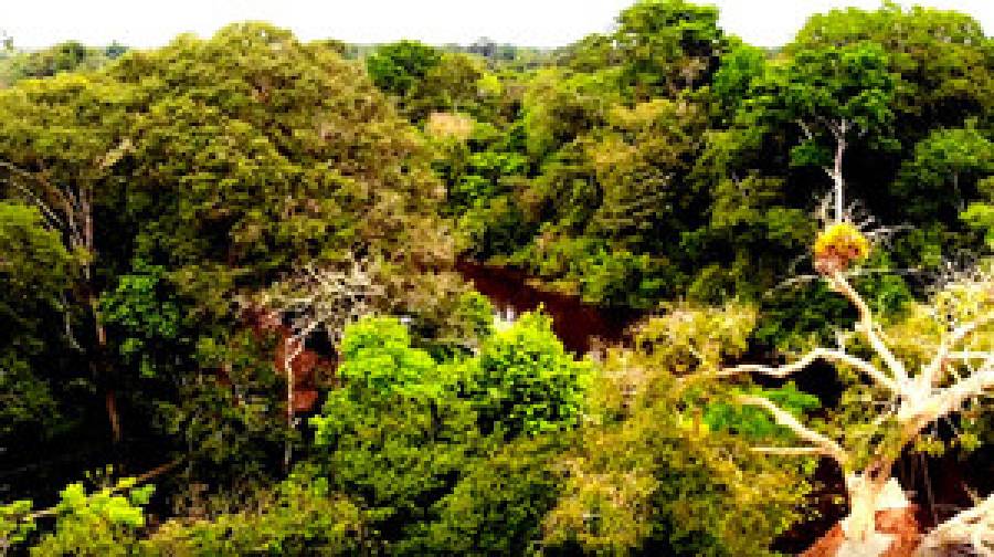 বিশ্বের সর্বশেষ বিচ্ছিন্ন উপজাতিদের সংস্পর্শে পেরুর আমাজন গ্রামের বাসিন্দারা