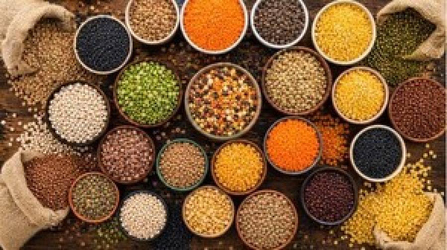 মাছ-মাংস না খেয়েও প্রোটিনের ঘাটতি মিটবে যেভাবে!