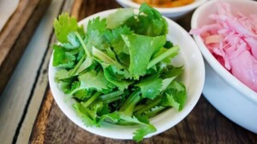 অতিরিক্ত ধনেপাতা সেবনে স্বাস্থ্যঝুঁকির আশঙ্কা