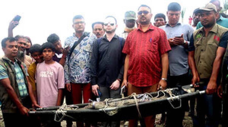 পদ্মায় জেলের ফাঁদে আটকা পড়ল কুমির, নেওয়া হচ্ছে খুলনায়