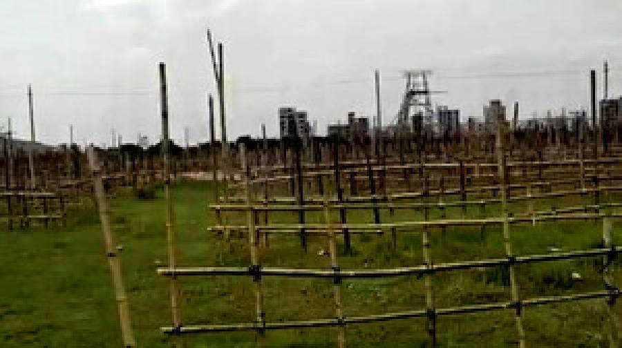 মাত্র ৫ দিনের হাটের দাম ১৪ কোটি টাকা!