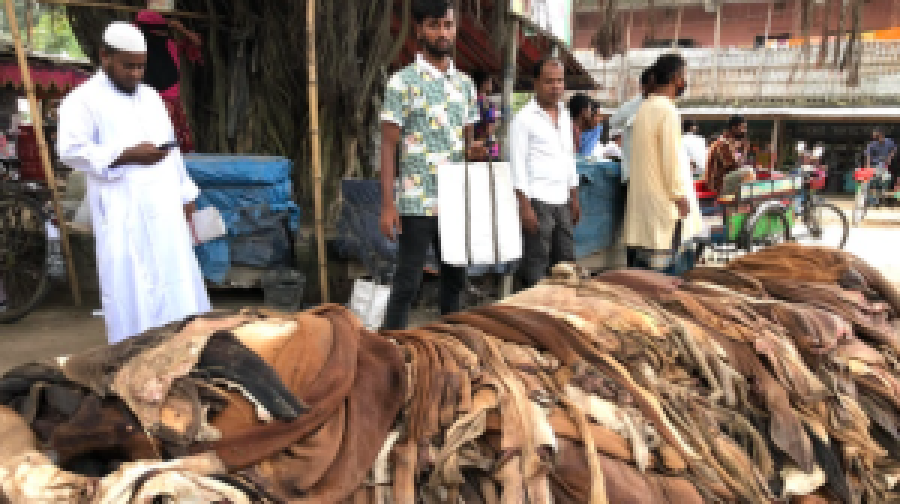 কোরবানির চামড়ায় নতুন দর, লবণেও ভর্তুকি দেবে সরকার