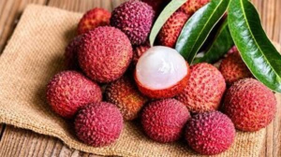 সুস্থ থাকতে দিনে কয়টি লিচু খাওয়া নিরাপদ?