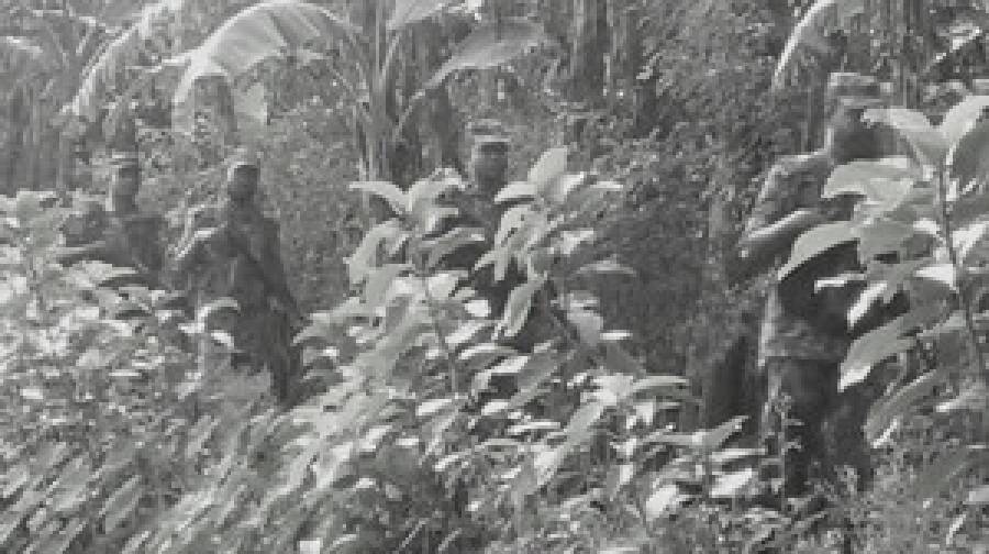 চুয়াডাঙ্গা ও কুড়িগ্রাম সীমান্তে ১৭ জনের পুশইন ঠেকাল বিজিবি