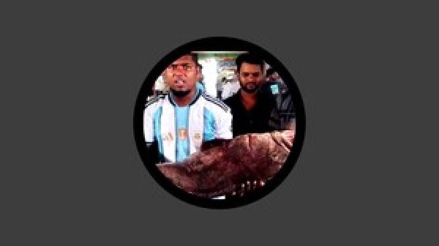 পটুয়াখালীতে ২৬ কেজির সামুদ্রিক ভোল মাছ বিক্রি হলো ৩৫ হাজার টাকায়