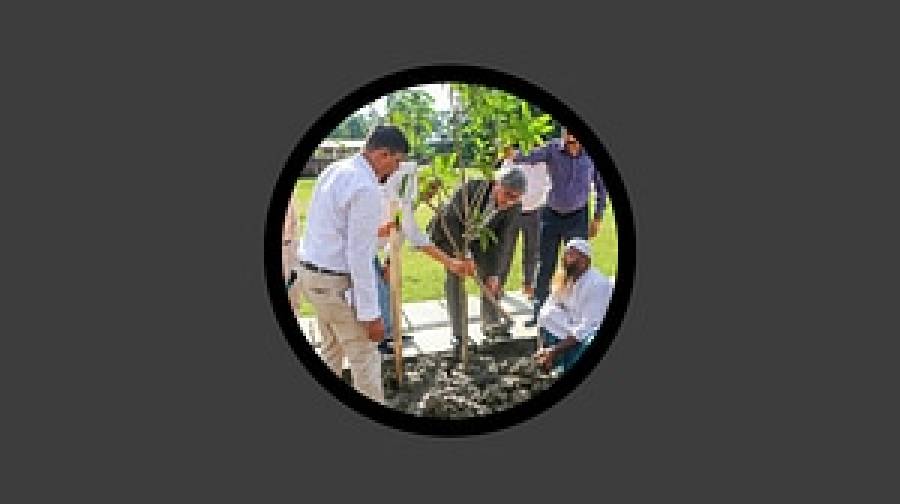 সুবর্ণজয়ন্তীতে এক কোটি গাছ লাগাচ্ছে গ্রামীণ ব্যাংক