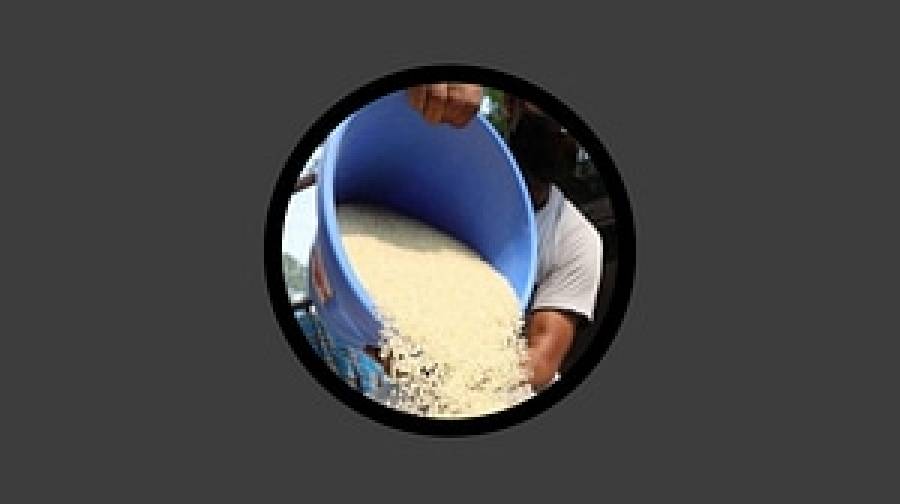 ওএমএসে চাল ও আটার বরাদ্দ কমাল সরকার