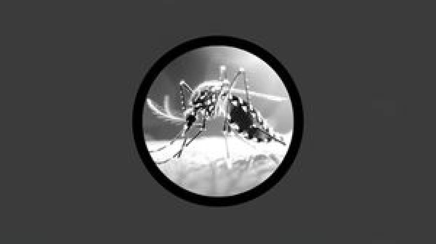 ডেঙ্গুতে এক দিনে ১১ মৃত্যু, বাড়ছে উদ্বেগ