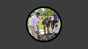 সুবর্ণজয়ন্তীতে এক কোটি গাছ লাগাচ্ছে গ্রামীণ ব্যাংক