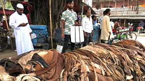 কোরবানির চামড়ায় নতুন দর, লবণেও ভর্তুকি দেবে সরকার