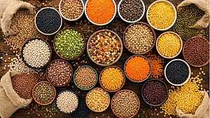 মাছ-মাংস না খেয়েও প্রোটিনের ঘাটতি মিটবে যেভাবে!