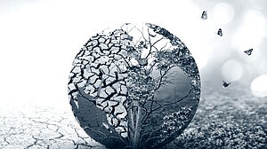 জরিপ: ১.৫ ডিগ্রি লক্ষ্যমাত্রা পূরণের আশা কমছে, বাড়ছে পরিবেশগত উদ্বেগ