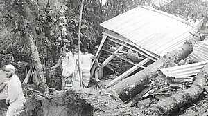 জামালপুরে ঝড়ে গাছ পড়ে প্রাণ গেল মা ও দুই মেয়ের