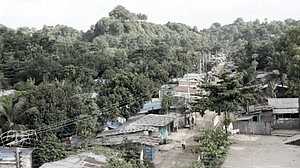 জঙ্গল সলিমপুরে চলছে যৌথ বাহিনীর অভিযান