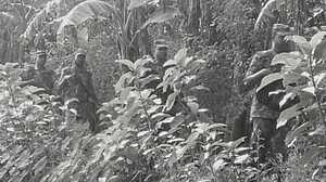 চুয়াডাঙ্গা ও কুড়িগ্রাম সীমান্তে ১৭ জনের পুশইন ঠেকাল বিজিবি