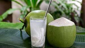 ক্লান্তি দূর করতে এক গ্লাস ডাবের পানির জাদু