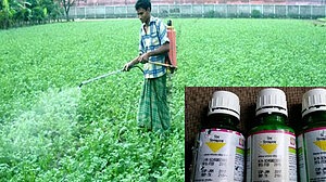 কীটনাশক উৎপাদনের কাঁচামাল আমদানিতে শুল্ক ছাড়ের সুবিধা দিচ্ছে সরকার