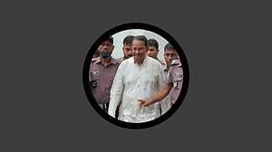 হাসানুল হক ইনুর ১০ বছরের কারাদণ্ড