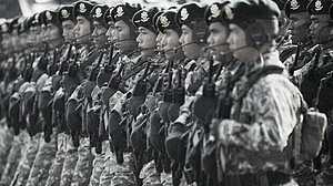 গাজায় ৮ হাজার সেনা মোতায়েনের প্রস্তুতি নিচ্ছে ইন্দোনেশিয়া