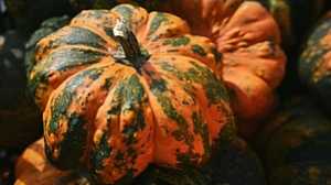 সাধারণ মিষ্টি কুমড়াতেই মিলবে ‘মরণব্যাধি’ থেকে মুক্তি!