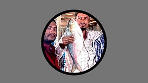 প্রথম দিনেই আড়াই কেজির ইলিশ, বিক্রি হলো ৯২০০ টাকায়