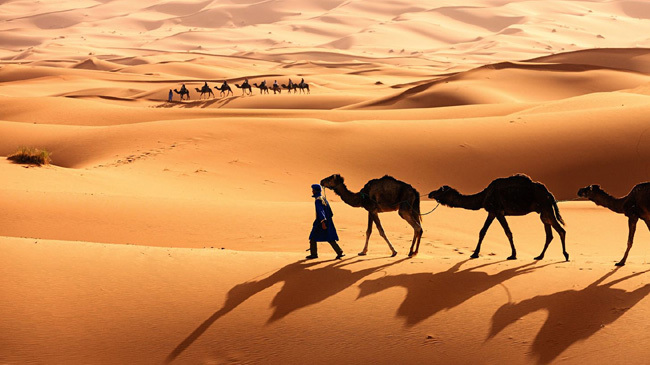 sahara desert morocco 1